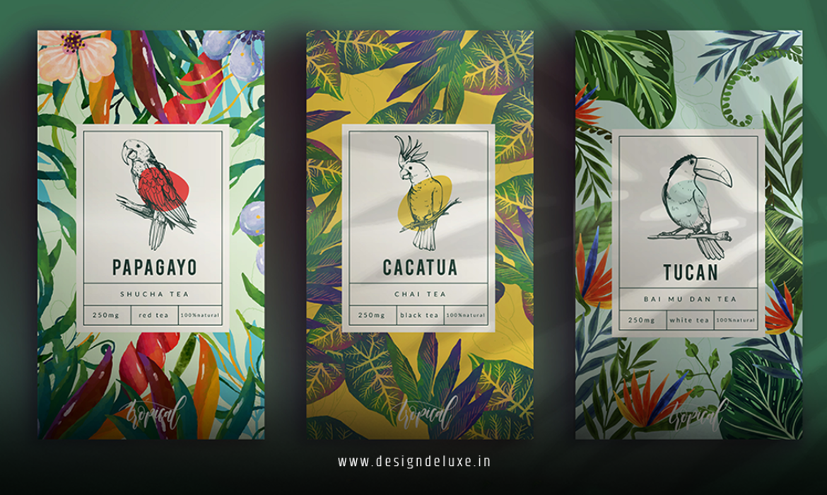 Packaging Design Trends Guide
