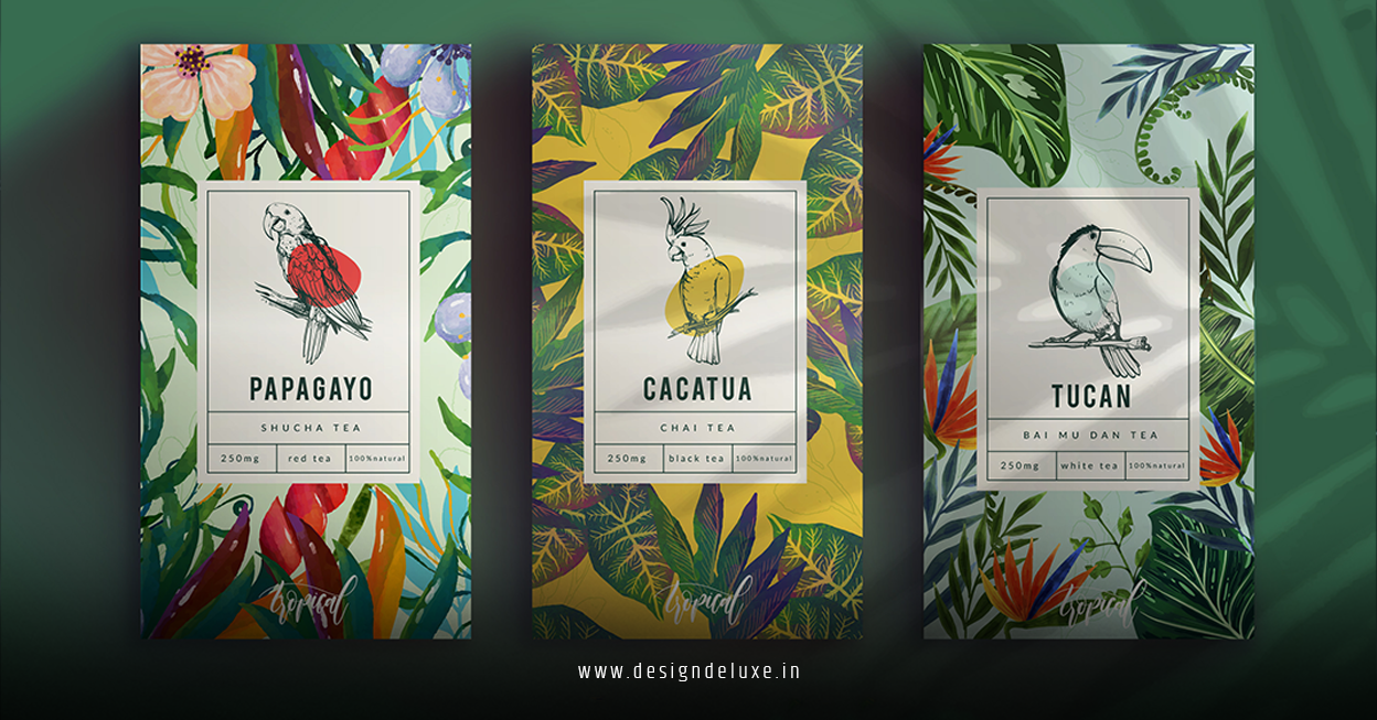 Packaging Design Trends Guide
