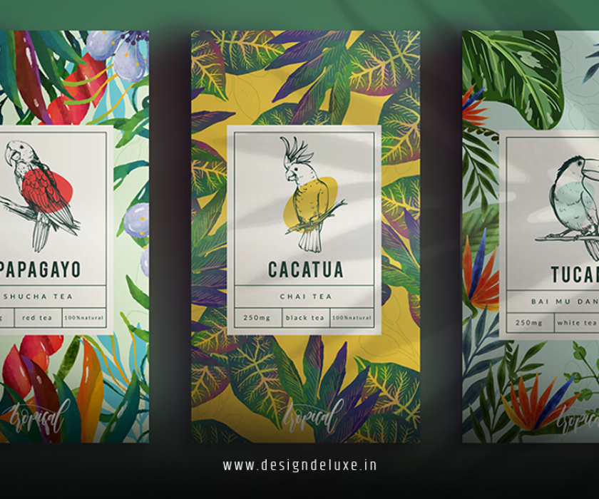Packaging Design Trends Guide